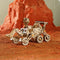 Rover-bundel (4-in-1)