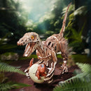 Velociraptor