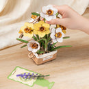 Narcissen Boeket