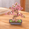 Sakura Bonsai Boom