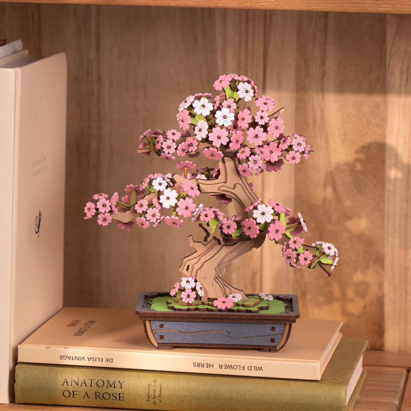 Sakura Bonsai Boom