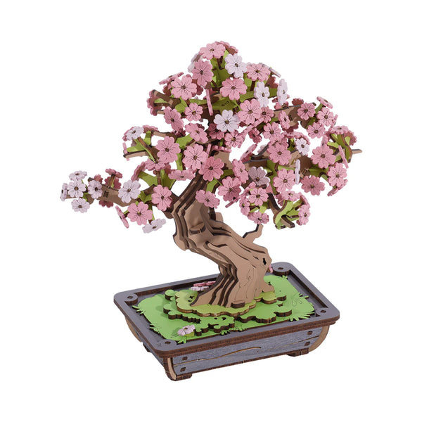 Sakura Bonsai Boom