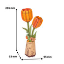 Oranje Tulp