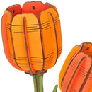 Oranje Tulp