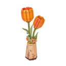 Oranje Tulp