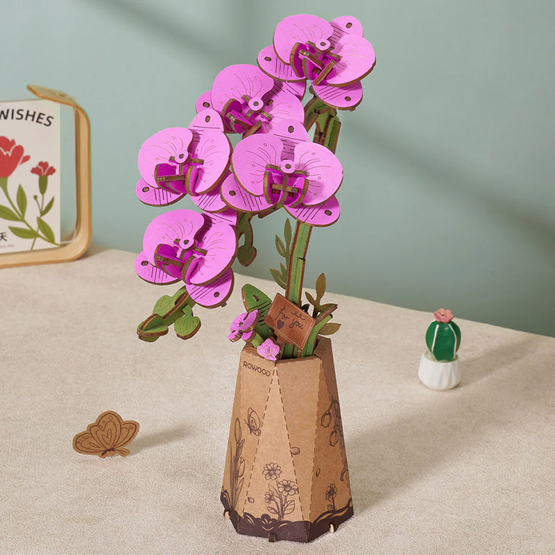 Orchidee