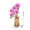 Orchidee