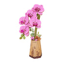 Orchidee
