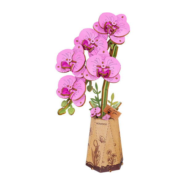 Orchidee