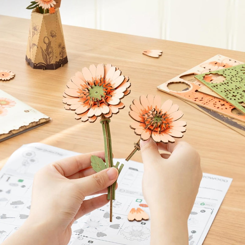 Oranje Gerbera