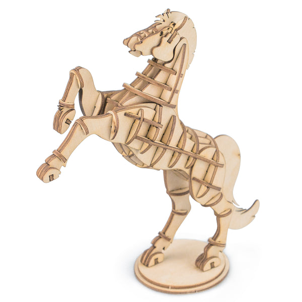 Paard